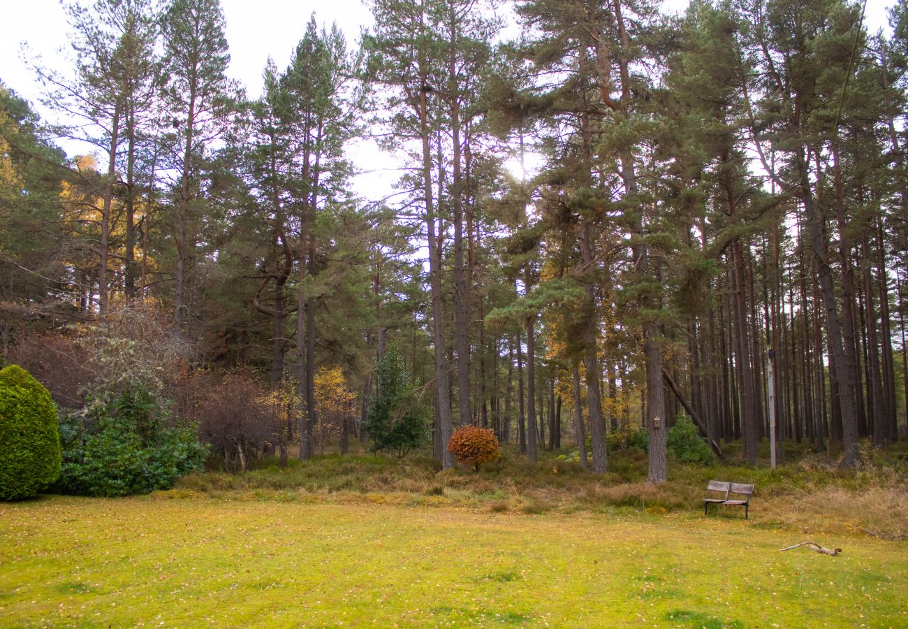 Garden of holiday cottage on edge of Highland woodland