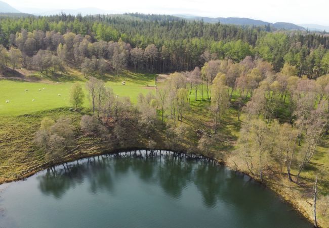 Cottage in Feshie Bridge - Druim an Lochain Cottage - farmstay in The Cairngorms Cottage in Feshie Bridge - Druim an Lochain Cottage - farmstay in The Cairngorms
