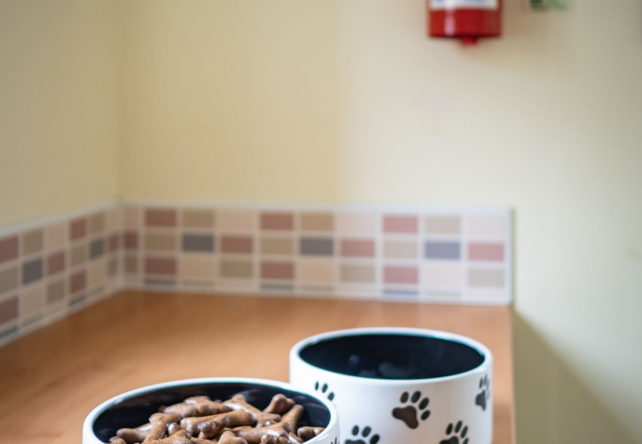 Dog bowls in an Aviemore holiday lodge that is pet friendly