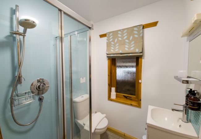 Ensuite bathroom with shower in an Aviemore lodge