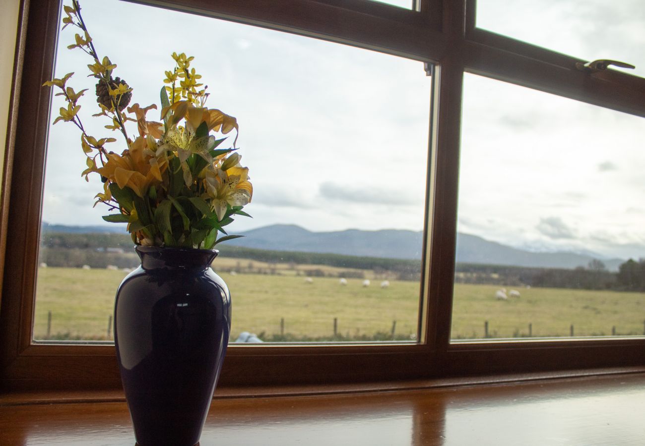 Views of the Cairngorms from our holiday home
