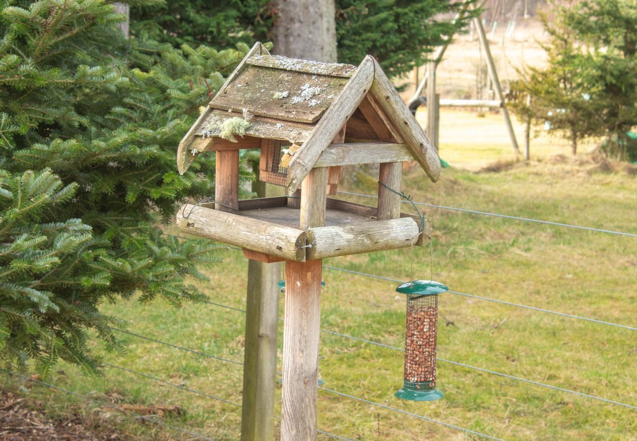 enjoy the birds at your holiday home. 