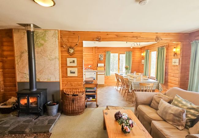 Log burner in the living room of a Highland Log Cabin