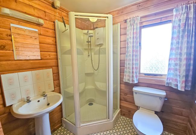 Bathroom with shower in Highland log cabin