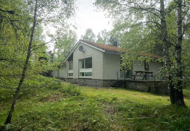 Cottage in Kincraig - Torr Beatha - Cosy home to let in Kincraig Cottage in Kincraig - Torr Beatha - Cosy home to let in Kincraig