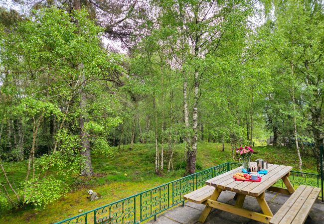 Cottage in Kincraig - Torr Beatha - Cosy home to let in Kincraig Cottage in Kincraig - Torr Beatha - Cosy home to let in Kincraig