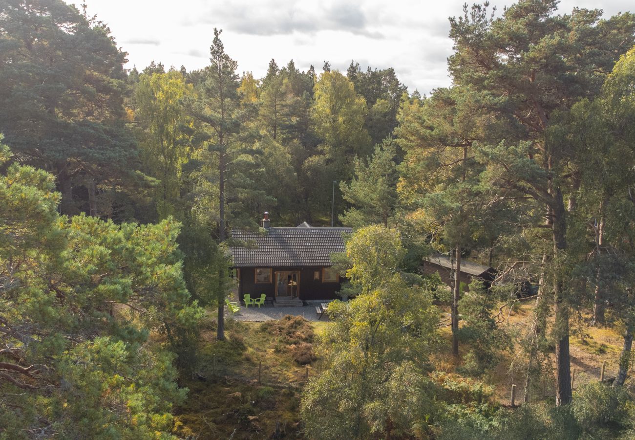 Cottage in Nethy Bridge - Cabin Cottage in  Nethy Bridge 