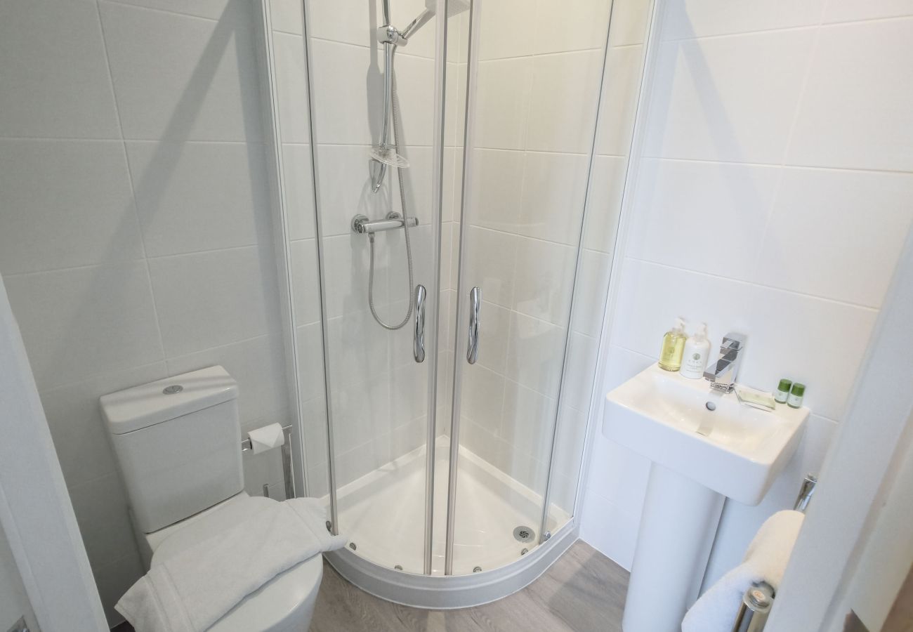 Compact modern shower room