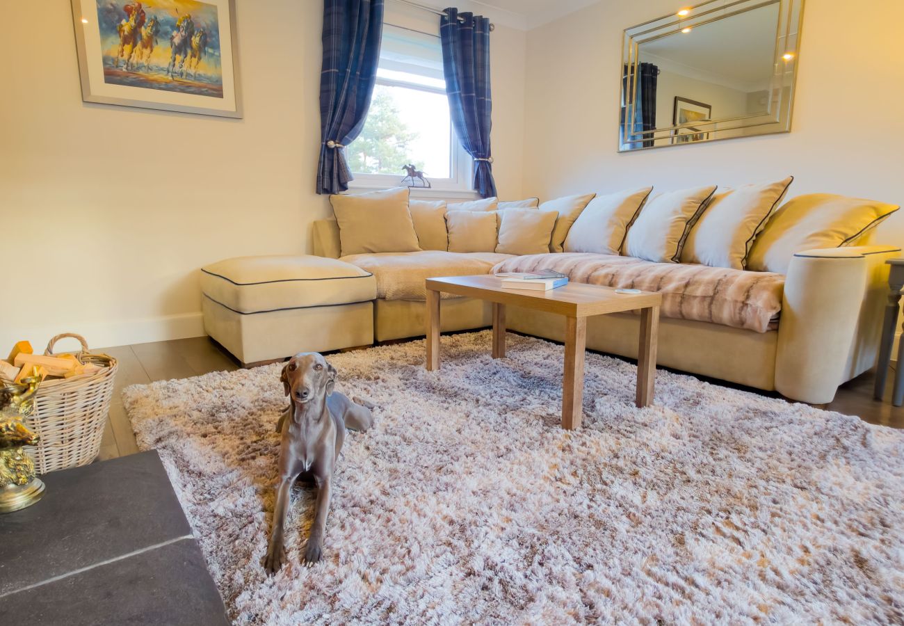 Main Lounge Seating for the Family