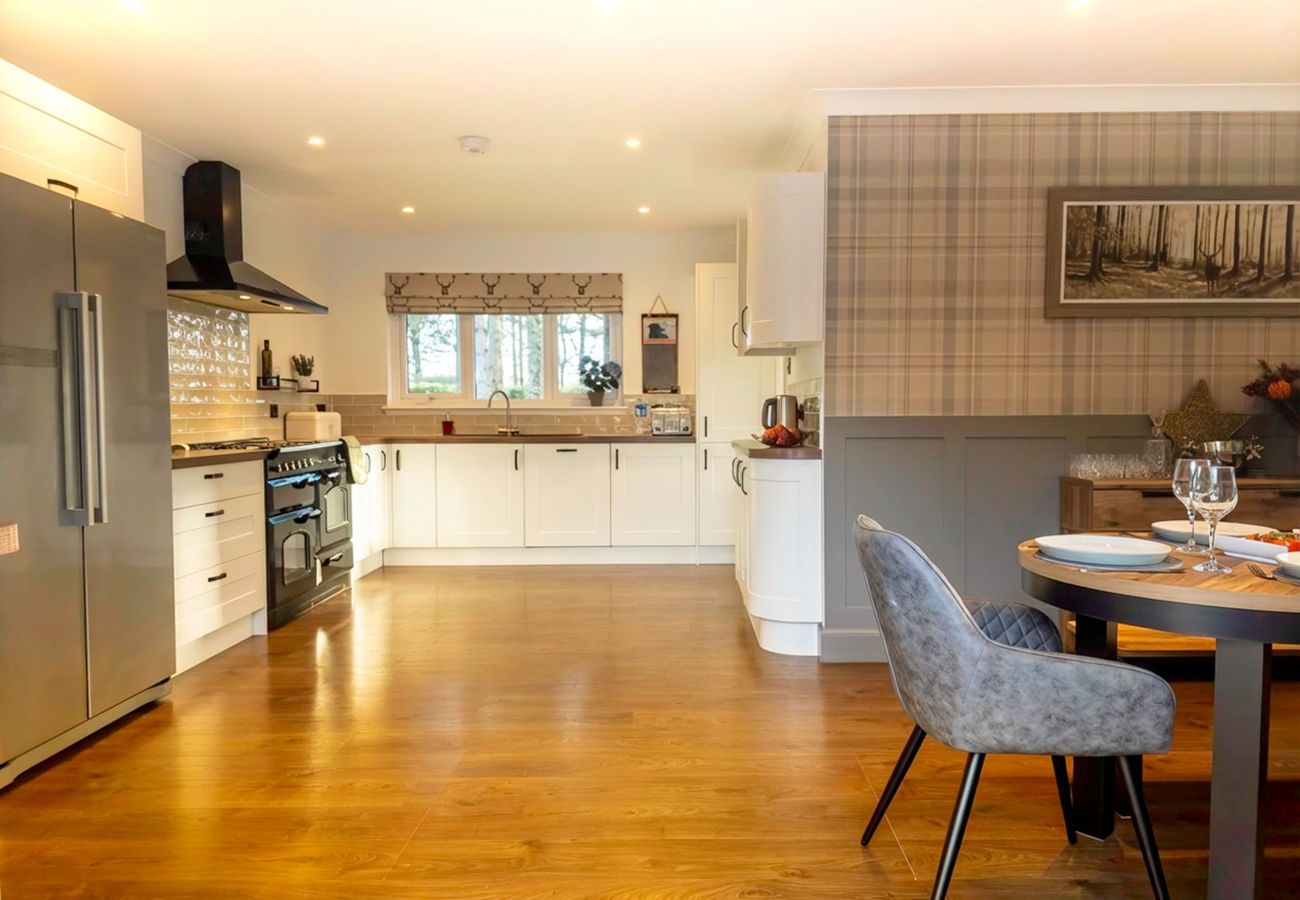 Spacious Modern Kitchen Setup