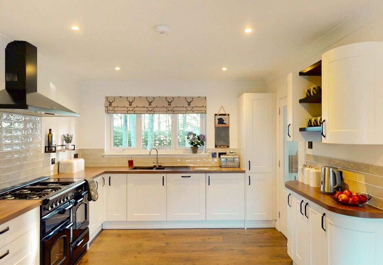 well-lit modern kitchen for cooking family meals.