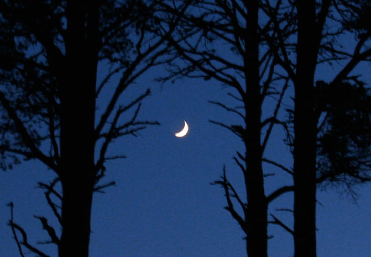 Cabin in Carrbridge - Tormore - wooden log cabin in the Cairngorms