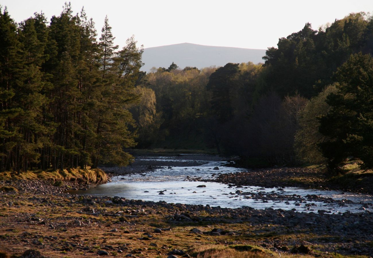 Cabin in Carrbridge - Tormore - wooden log cabin in the Cairngorms