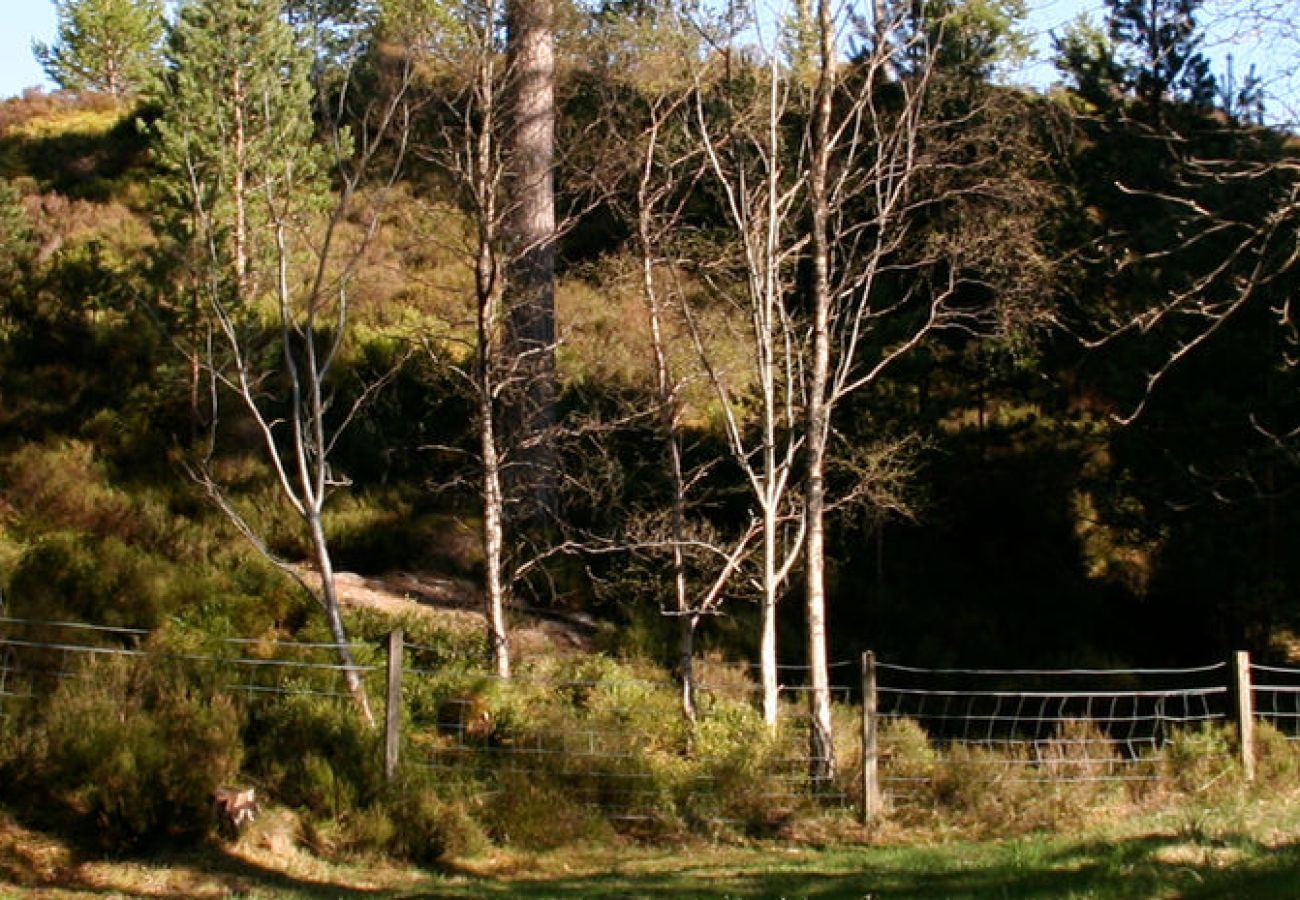 Cabin in Carrbridge - Tormore - wooden log cabin in the Cairngorms