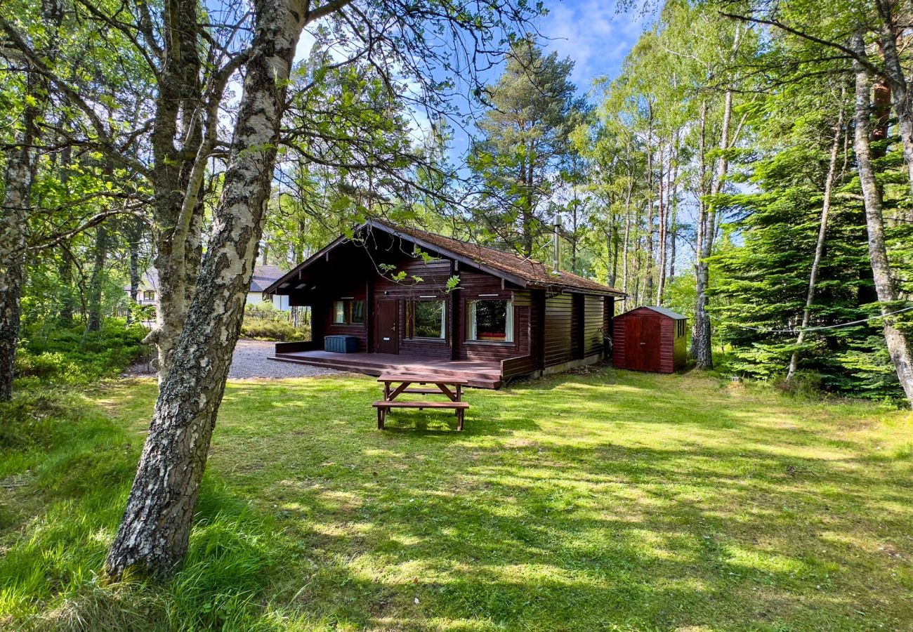 Cabin in Carrbridge - Tormore - wooden log cabin in the Cairngorms