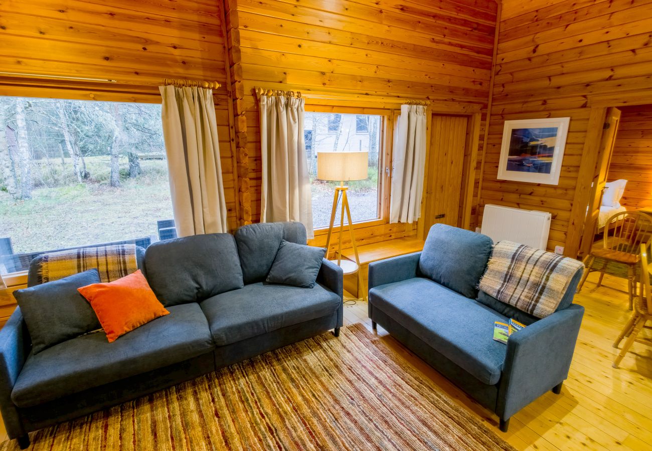 Lots of light at Tormore wooden cabin in the woods and great views of the forest