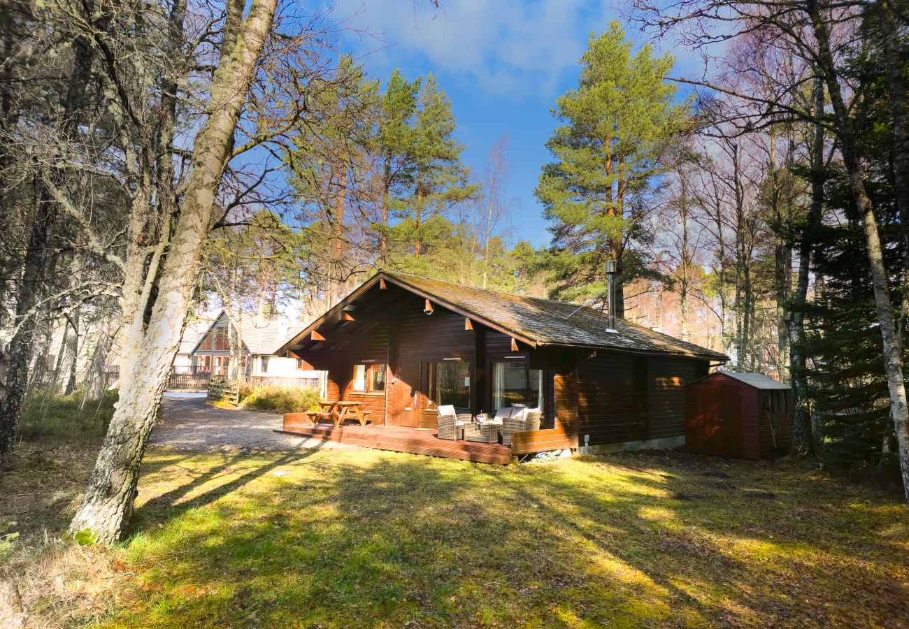 Enjoy your next holiday in a wooden cabin in the Cairngorms 
