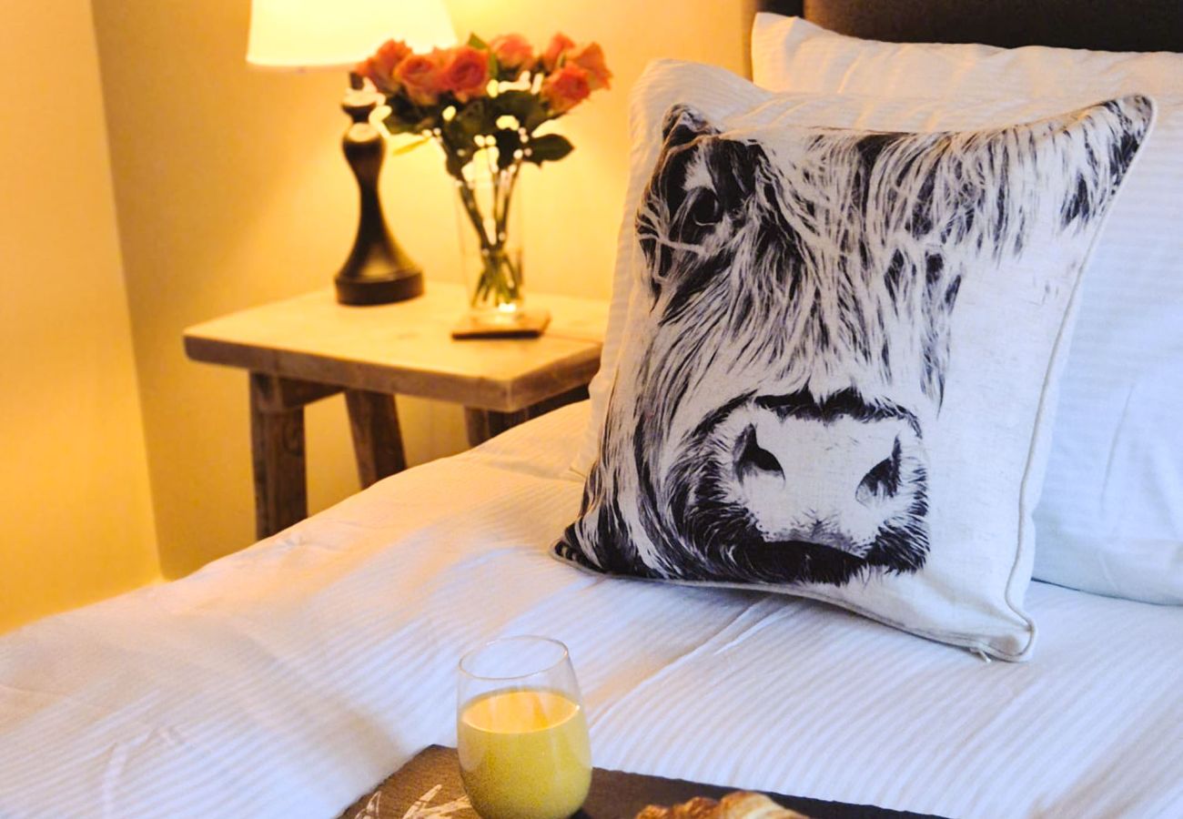 Bedroom with Highland cow cushion and bedside lamp at Betty's Cottage Highland self-catering
