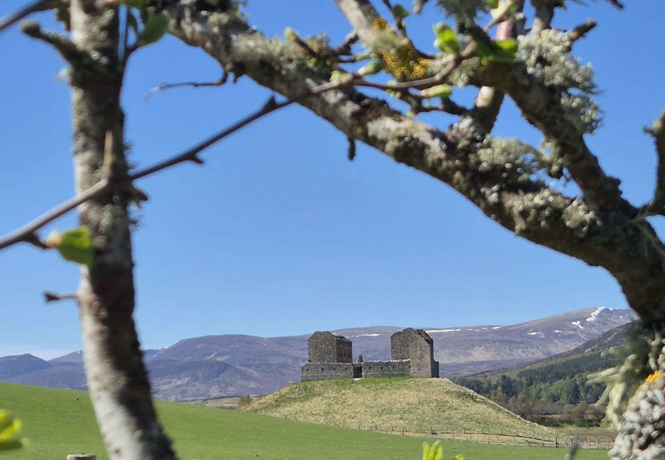 View from Betty's Cottage garden showing Ruthven Barracks in Highland countryside