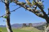 House in Kingussie - Betty's Cottage - Highland cottage near Ruthven Barracks