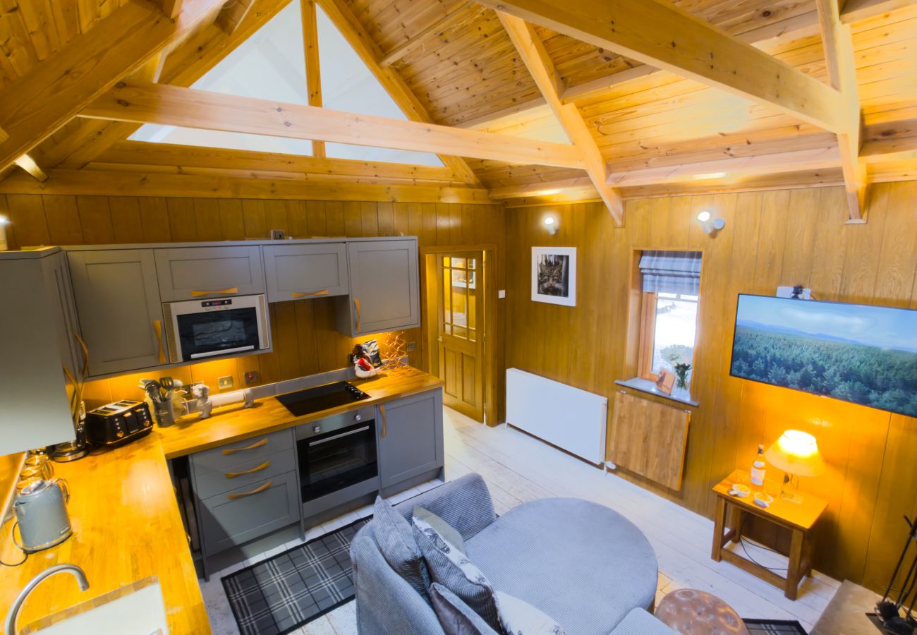 Kitchen with grey units and exposed timber roof beams at Wildcat Lodge, self-catering near Boat of Garten