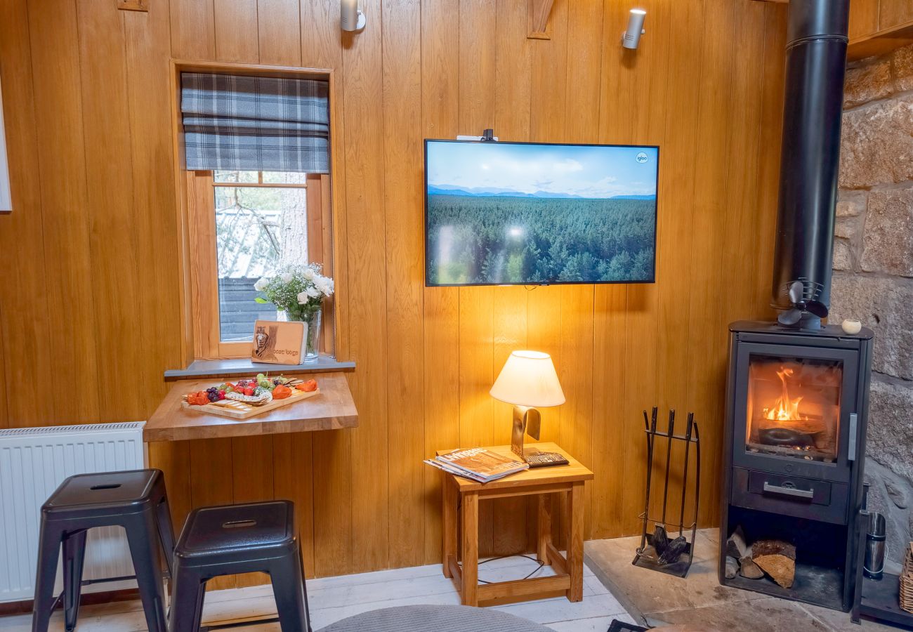 Living area with wall-mounted TV, lamp and lit wood burning stove at Wildcat Lodge in the Cairngorms