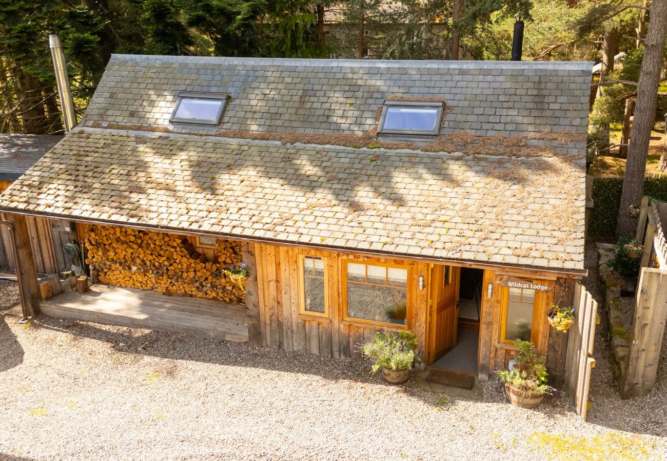Timber-clad exterior of Wildcat Lodge set among pine woodland near Boat of Garten in the Cairngorms
