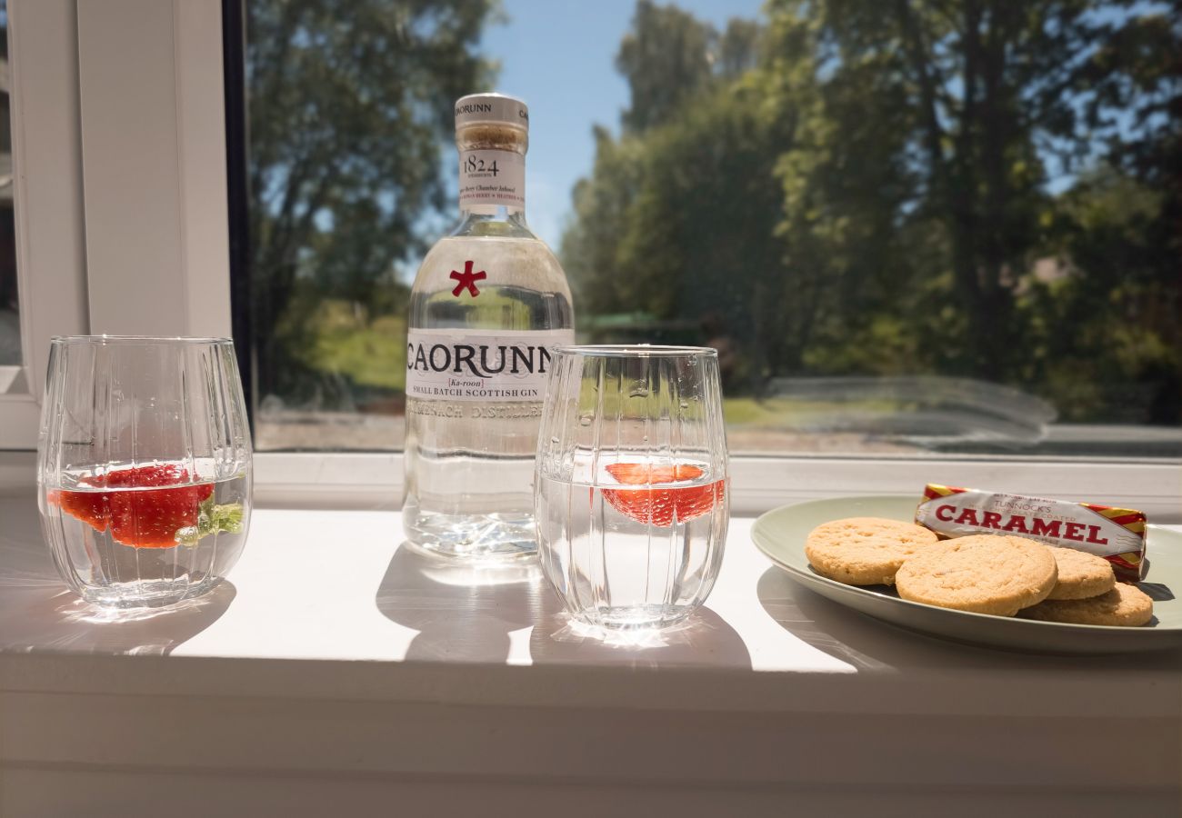 Bottle of Scottish gin, two glasses with strawberries and a plate of shortbread on a sunny windowsill overlooking trees